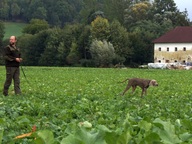 4 Wurftreffen Oktober