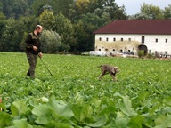 4 Wurftreffen Oktober