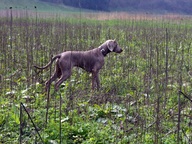 10. Wurftreffen April