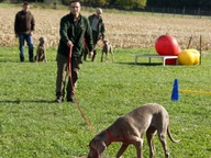 5 B Wurftreffen Oktober