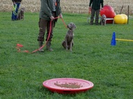 5 B Wurftreffen Oktober