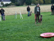 5 B Wurftreffen Oktober